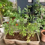 高級布プランター