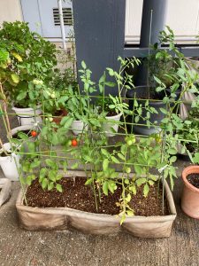 高級布プランター